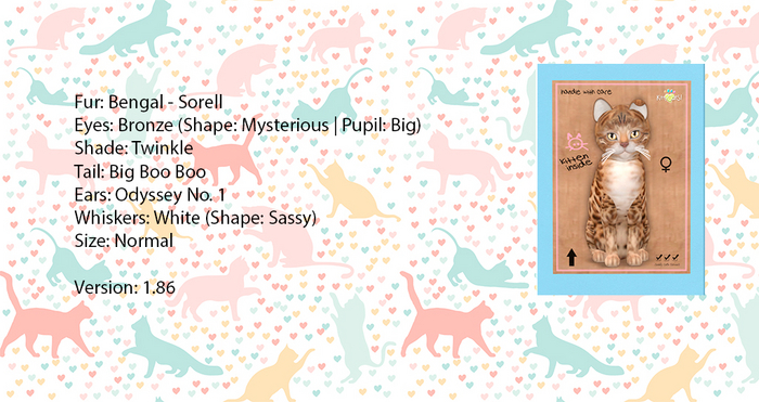 KittyCatS Box - Bengal - Sorell