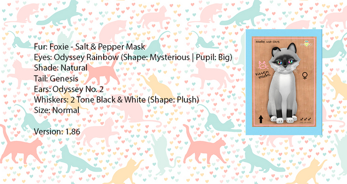 KittyCatS Box - Foxie - Salt & Pepper Mask