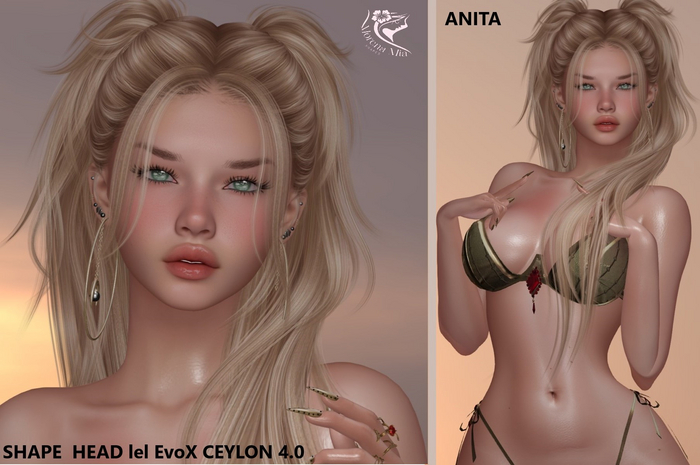 SHAPE HEAD EvoX CEYLON  4.0 Lelutka (Maitreya, Larax, Legacy, Legacy Bombshell, Reborn,Erika, Belleza Gen.X Curvy,Kupra