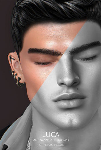 [MR] Luca Brows for EVOX Heads DEMOS