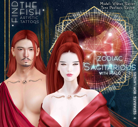*Find the Fish* - Zodiac  Sagitarious