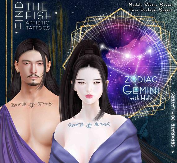 *Find the Fish* - Zodiac Gemini