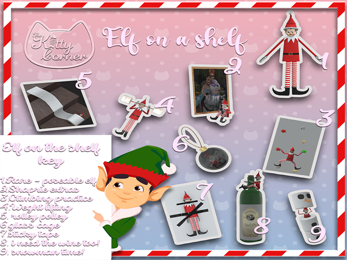 Rare -Elf on the shelf - Poseable elf ~ TKC