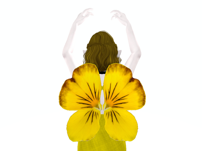Yellow VIola Wings
