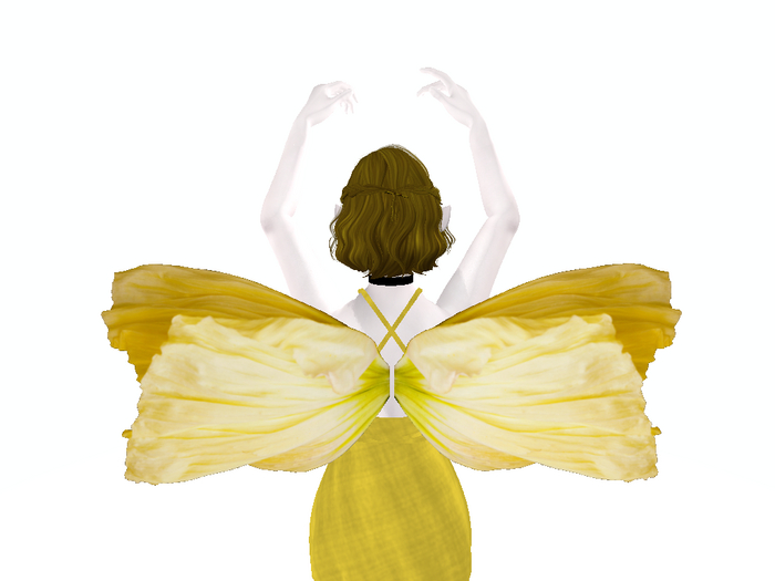 Yellow Ramunculus Wings