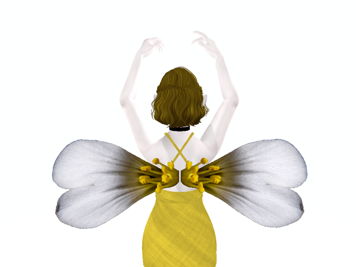 Sweet Alyssum Wings