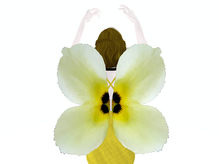 Primrose Wings