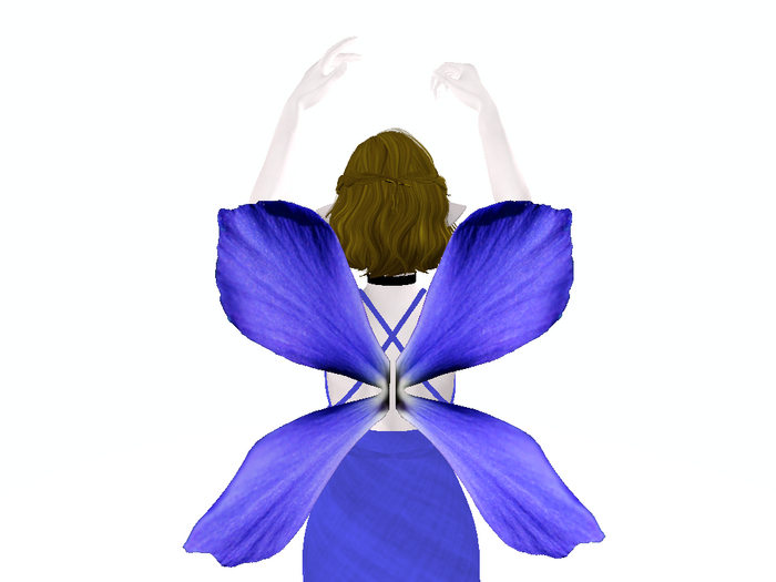 Lobelia wings