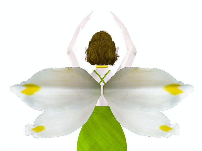 Lily Of the Valley Wings