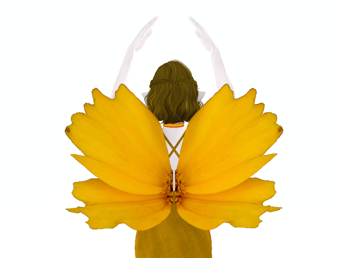 Adonis Wings