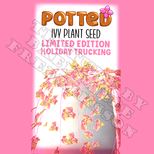 Potted: Ivy Plant Seed: LE Holiday Trucking (ACTUAL PLANT SEED)