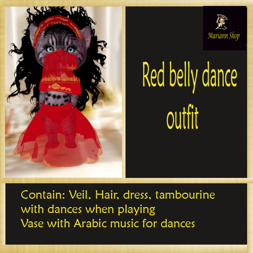 Red belly dance outfit