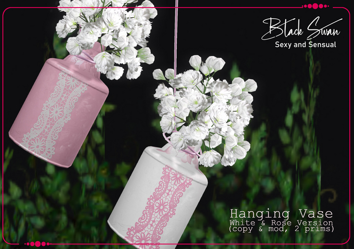 ! Black Swan ! Hanging Vase
