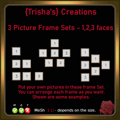 {Trisha's} MeSh Picture Frame Set 1, 2,3  faces - each 1 Li