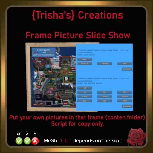{Trisha's} MeSh Frame Picture Slide Show - 1 Li