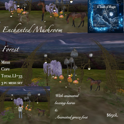 Enchanted Mushroom forest-Box LI-33
