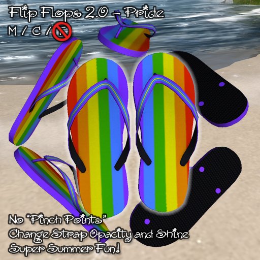 R(S)W Flip Flop 2 - Pride