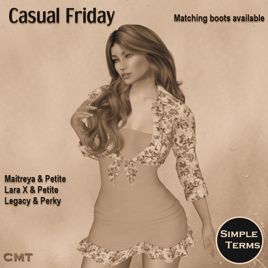 Casual Friday Dress & Top - DEMO