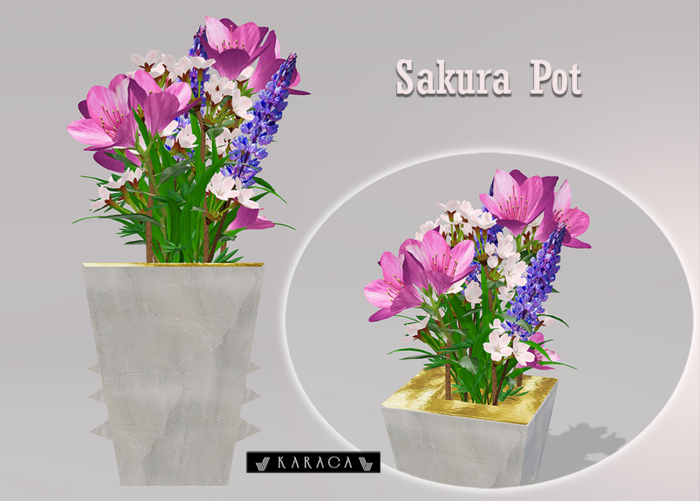 KARACA -Sakura POT