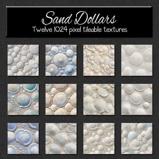 *Wallflowers* Sand Dollars