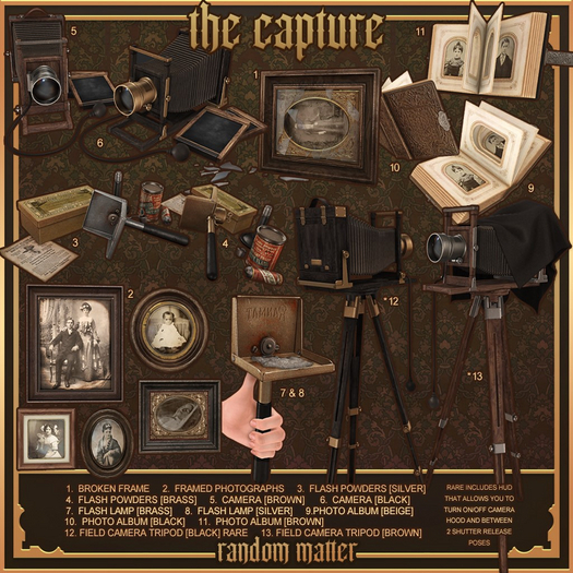 11. Random Matter - The Capture - Photo Album [Brown]