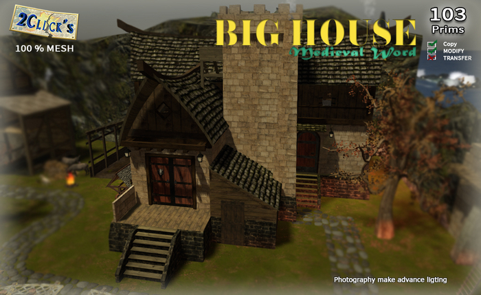 MEDIEVAL BIG HOUSE