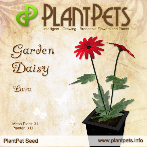 PlantPet Seed [Garden Daisy *Lava*]