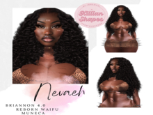 Nevaeh/ Shape LeL Briannon head 4.0 Evo X