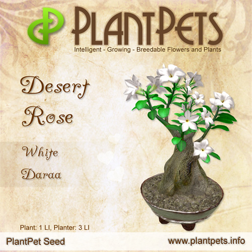 PlantPet Seed [Desert Rose *White Daraa*]