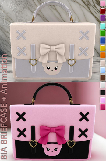 *.:Dark Cat:.*ACC- BIA BRIEFCASE