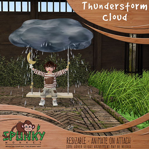 [TSM] Thunderstorm Cloud