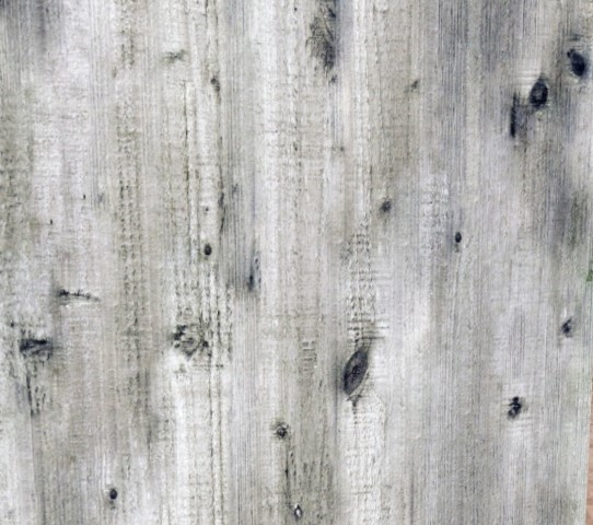 wood texture 7