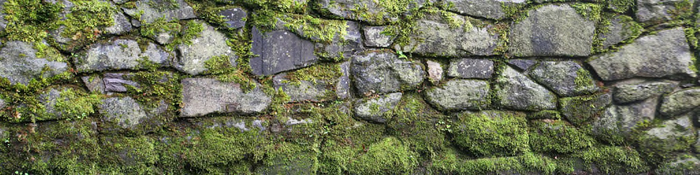 Mossy Stone Wall Texture