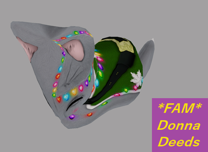 Stray Cats Kitten - Elf 2019 (M)