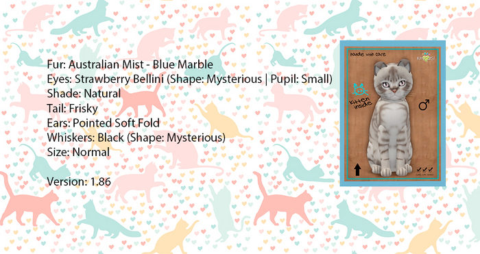 KittyCatS Box - Australian Mist - Blue Marble