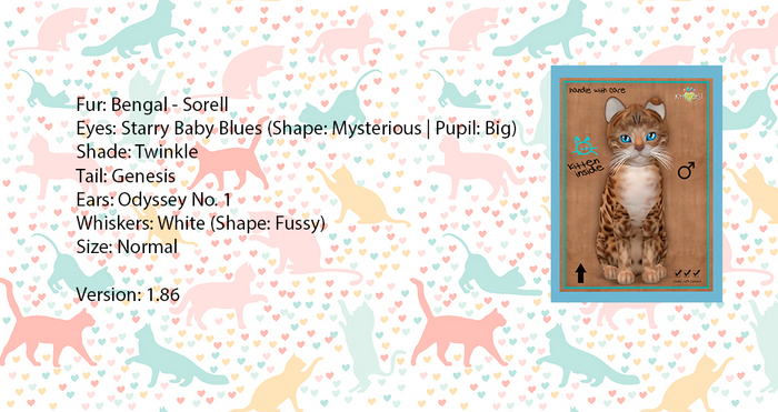 KittyCatS Box - Bengal - Sorell