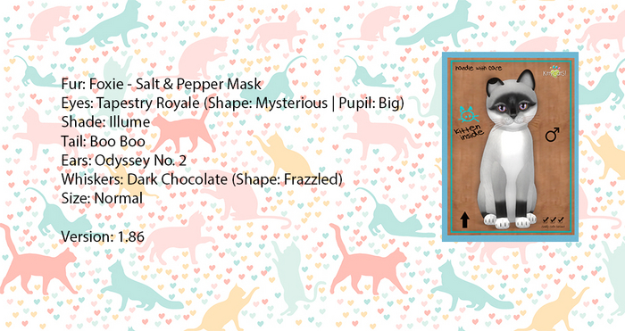 KittyCatS Box - Foxie - Salt & Pepper Mask