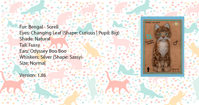 KittyCatS Box - Bengal - Sorell