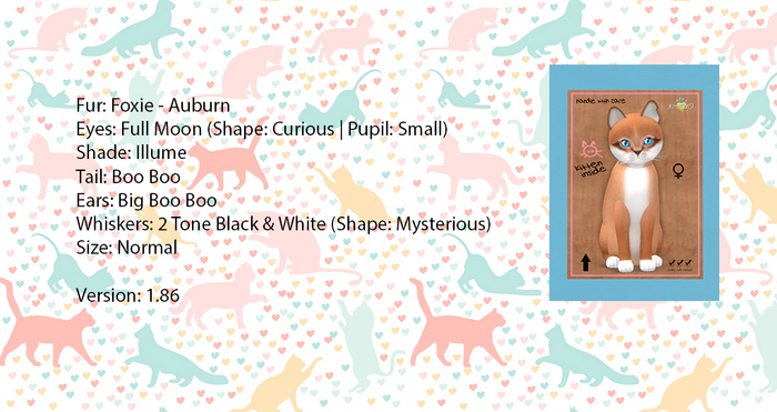 KittyCatS Box - Foxie - Auburn