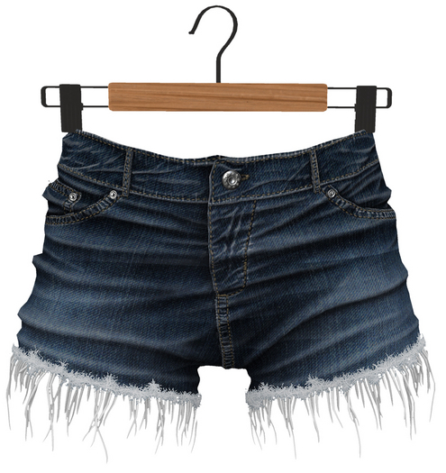 RIOT / Tanya Shorts - Blue17s