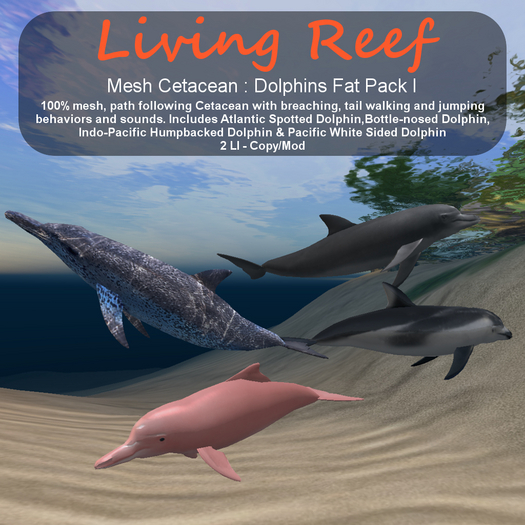 Inochi Reef - Dolphins Fat Pack I