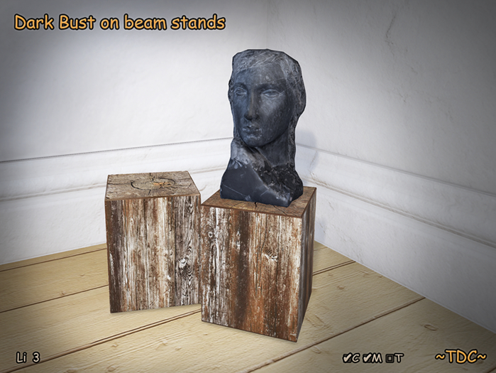 Dark Bust on beam stands