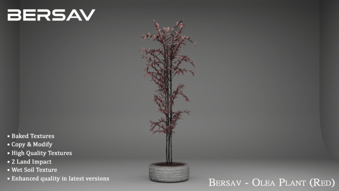 Bersav - Olea Plant Red (Add)