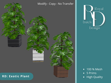 RD: Exotic Plant with wooden pot
