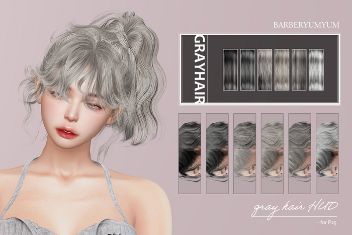 GRAYhair HUD for P25(unpacked)