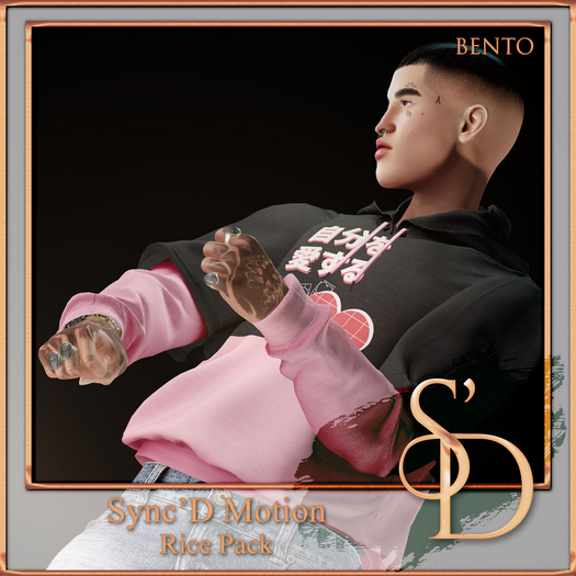 Sync'D Motion - Rice Pack (bento)