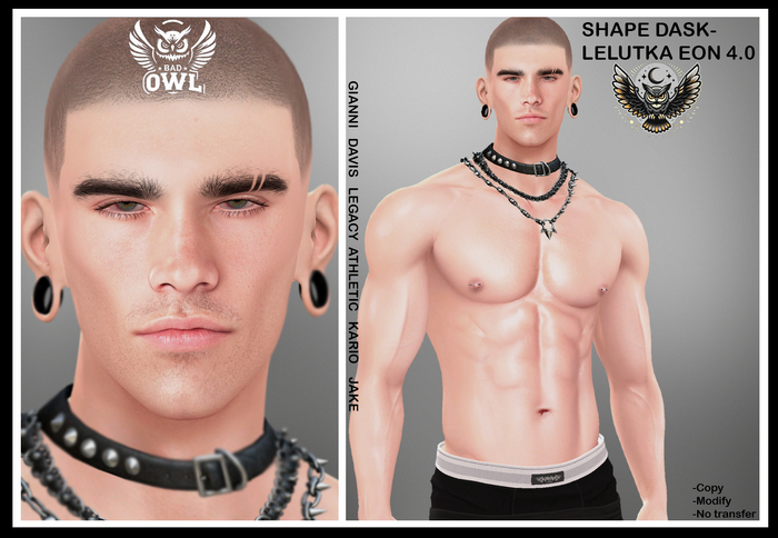 SHAPE DASK-LELUTKA EON 4.0