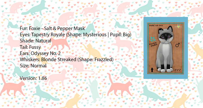KittyCatS Box - Foxie - Salt & Pepper Mask