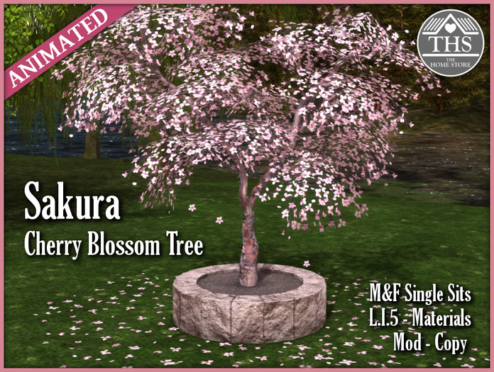 SAKURA - CHERRY TREE