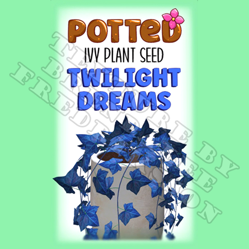 Potted: Ivy Plant Seed: Twilight Dreams (ACTUAL PLANT SEED) - Retired!